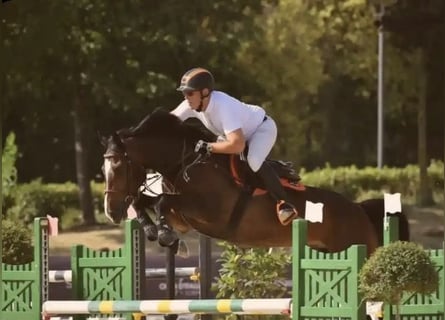 Aprende a montar a caballo al más alto nivel, en el lugar donde otros disfrutan de sus vacaciones.