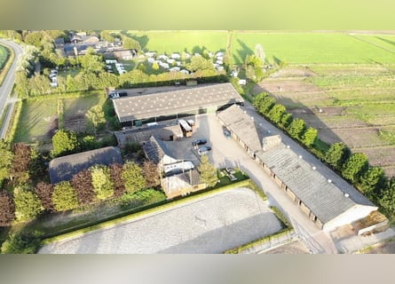 ¡Hotel para caballos en la Veluwe!