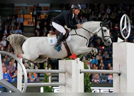 Belgisch Sportpaard, Onbekend, Embryo