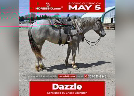 Cheval de trait Croisé, Jument, 4 Ans, 163 cm, Rouan Rouge