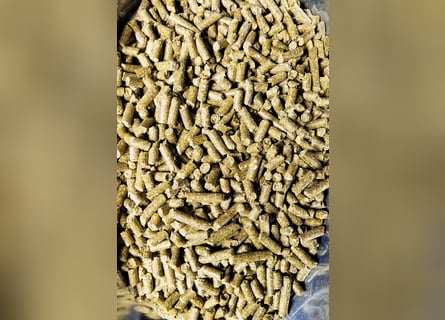 Luzerne/Alfalfa Pellets 5 mm