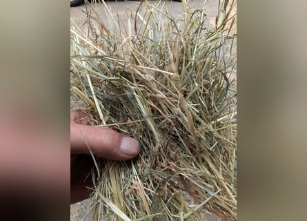 French pasture hay