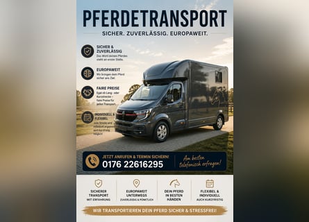 Horse Transport