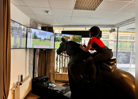 *TOP* Reitsimulator - Racewood Eventing simulator - Dressur , Springen & Vielseitigkeit