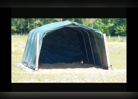 Weidezelt 4m x 3,50m