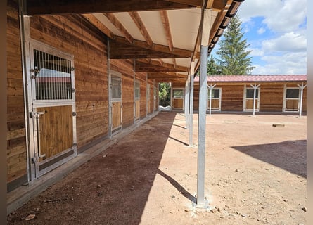 Buy a horse stable – horse boxes, outdoor stables, and stable facilities | Open stall & stable const