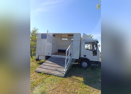 Horsebox for three horses