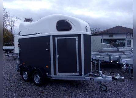 CL Gold First: the best 2-year-old in terms of price-to-performance ratio on the market!