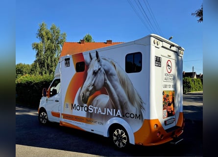 Carriage for 2 horses – Excellent condition