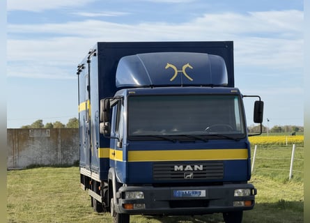 Horse transporter MAN up to 7.5 tons for 4 horses