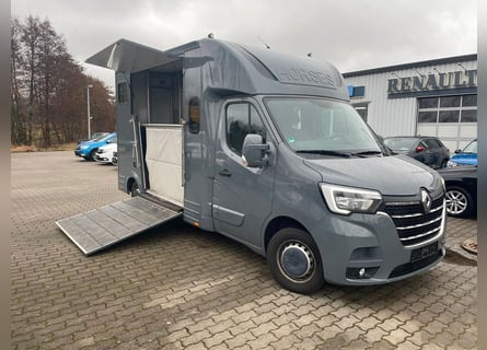 Renault Master Pferdetransporter STX Hengstversion FK