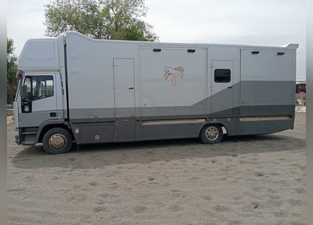 Horsebox with living quarters for 6 horses
