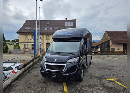 Peugeot Boxer 2.2 BlueHDi 165 Pro EQUI-TREK