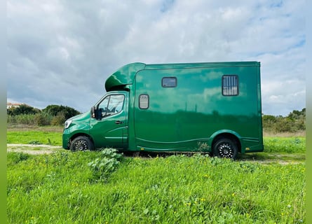 Pferdetransporter Renault ATM Haras / 5-Sitzer / Automatik Getriebe
