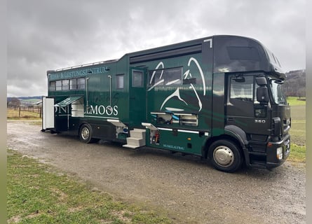STX Pferdewohnmobil LKW IVECO Stralis 360 