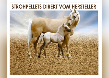 Strohpellets: nur 34€/Monat und Ihre Pferdebox ist immer sauber!