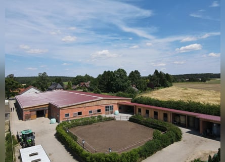 Horse riding holidays for children in the Lüneburg Heath