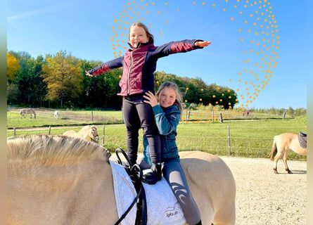 Reiten im Ponyclub