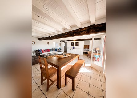 Family adventure at the heart of a stud farm – nature, horses, and well-being