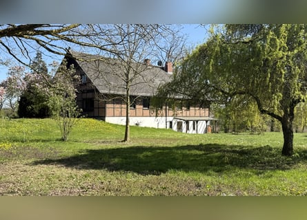 10-Hectare Paradise – Country House for Sale in Idyllic Seclusion