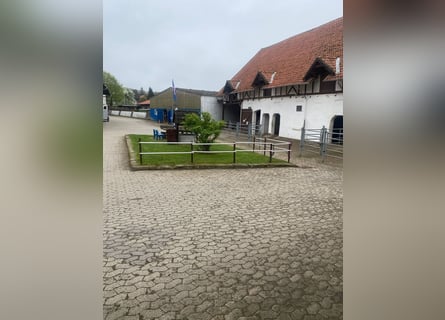 384-25 Reiterhof mit ***Hotel und Pferde-Pensionsbetrieb in Niedersachsen