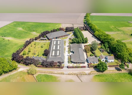 A beautiful, fully equipped equestrian facility located in a fantastic location