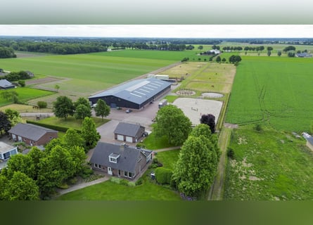 A complete equestrian facility with plenty of opportunities for the (semi)professional horse lover!