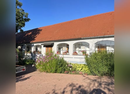 A gem in Hungary set amidst idyllic countryside between Pécs and Kaposvár