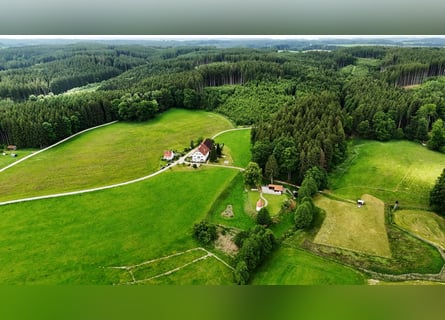 A lifelong dream for horse enthusiasts – Exclusive riding estate on 27 acres of private land