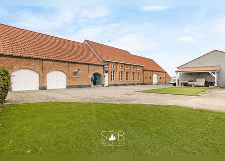 Beautiful villa in a traditional style with outbuildings and pastures on 89,070 m² – 2811 Leest