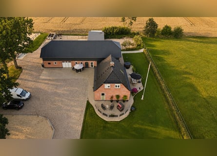 Charming country house with high-quality equestrian facilities in Southern Jutland in an idyllic loc