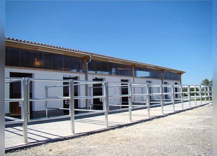 Charming Equestrian Facility Located Between Stuttgart and Lake Constance V11998