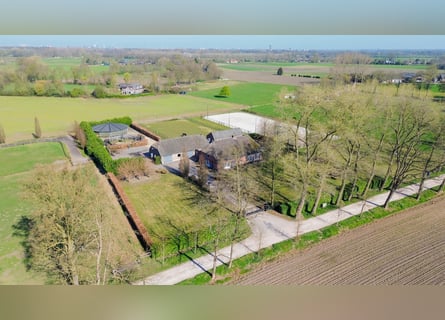 Charming farmhouse with equestrian facilities near ’s-Hertogenbosch