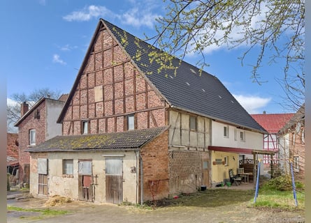 Charming residential property with equestrian facilities and large grounds in Bad Arolsen-Helsen