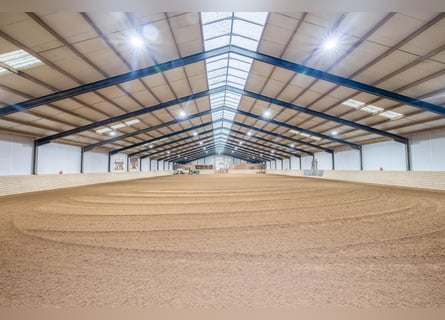 Complete equestrian accommodation