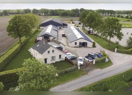 Complete equestrian accommodation located on a plot of 2 hectares in the outskirts