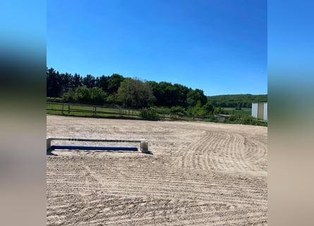 Complete equestrian facility located less than 30 minutes from Paris