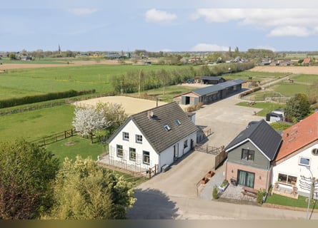 Detached property with spacious living and a high-quality, fully equipped equestrian facility