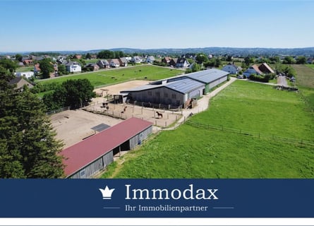 Dream horses in Bad Oeynhausen, riding facility with its own indoor riding arena