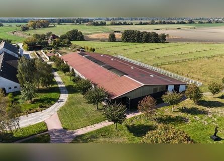 Einmalige Reitanlage bei Potsdam mit 16 Hektar arrondiertem Land