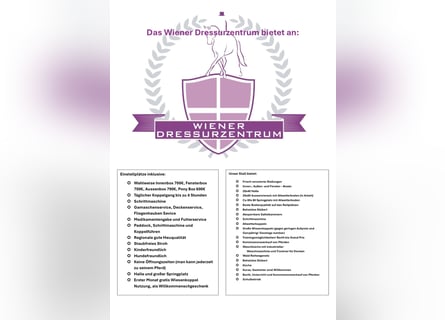 Einstellplätze Wien Nähe frei 