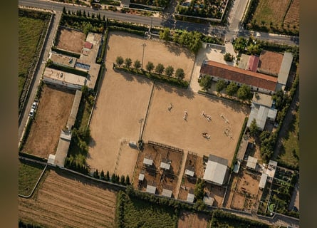 Equestrian estate located near the sea