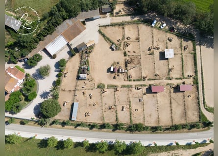 Equestrian estate with a country house in Spain, located on the Costa Brava, just 10 minutes from th