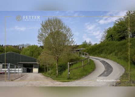 Equestrian facility for sale in a secluded location near St. Wendel – nearly 15 hectares of land own