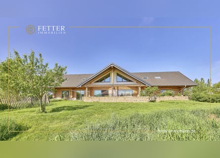 Equestrian facility for sale in Hütschenhausen, Rhineland-Palatinate – stylish living included!