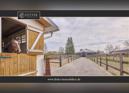 Equestrian facility for sale in Lower Saxony on approximately 7.4 acres of land – fully renovated!