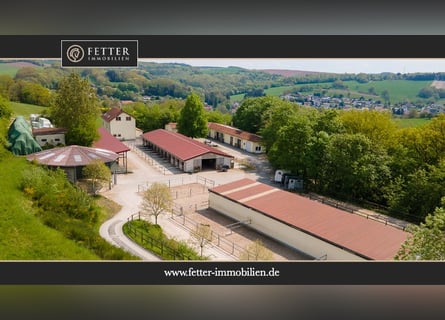 Equestrian facility in Saarland near St. Wendel, set in a picturesque secluded location!