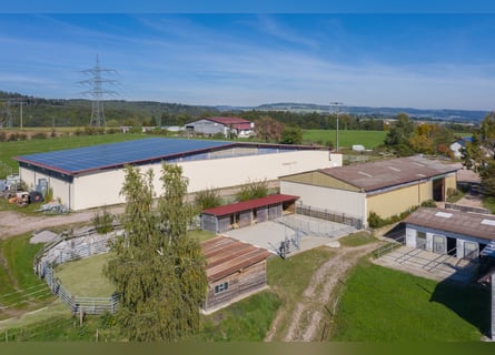 Equestrian facility with southern exposure