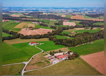 Equestrian Farm – Agricultural Property East of Munich