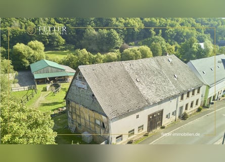 Equestrian farm in Rhineland-Palatinate with 8 stables and a small indoor arena in Niederhambach!